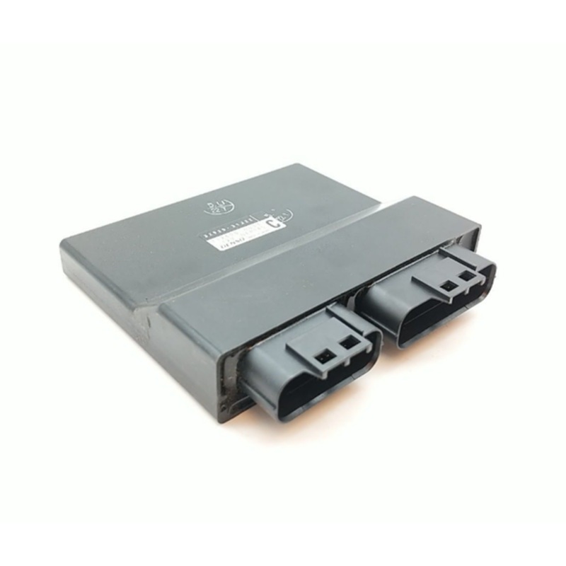 Suzuki OEM Fuel Injection Control Unit