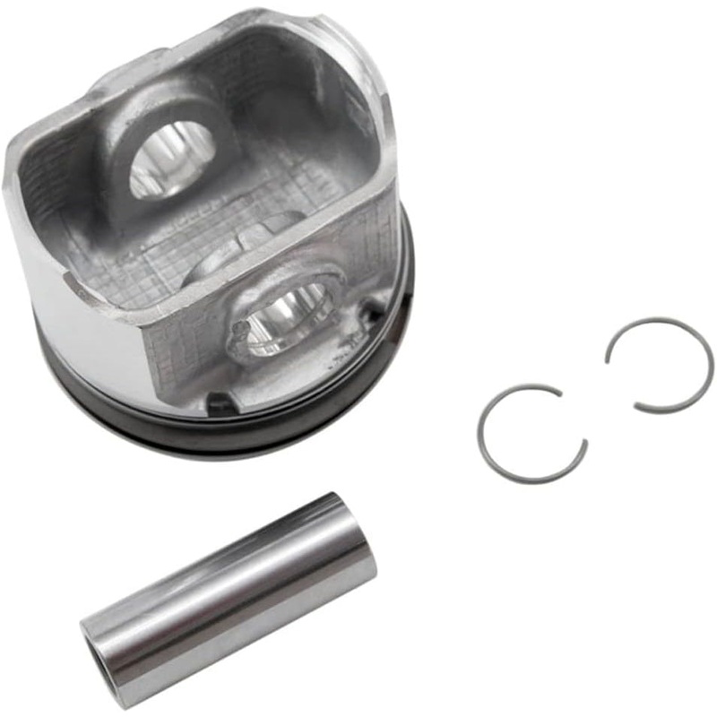 Polaris Piston Kit