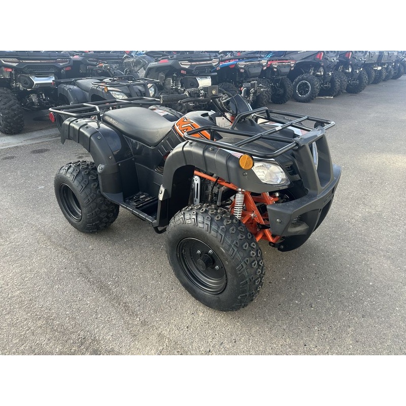 New 2024 Kayo STORM 150 WHITE