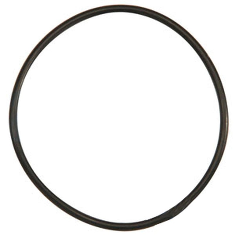 O-Ring (2/Pack) Fits John Deere Replaces T14065